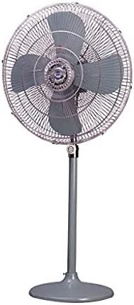 Pedestal Fan