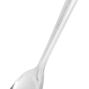 Chafing Dish Spoon